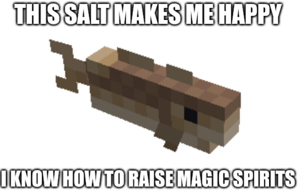 image of a Minecraft cod with the text "this salt makes me happy - I know how to raise magic spirits"